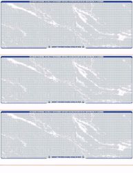 blank check 3 per page checks next day